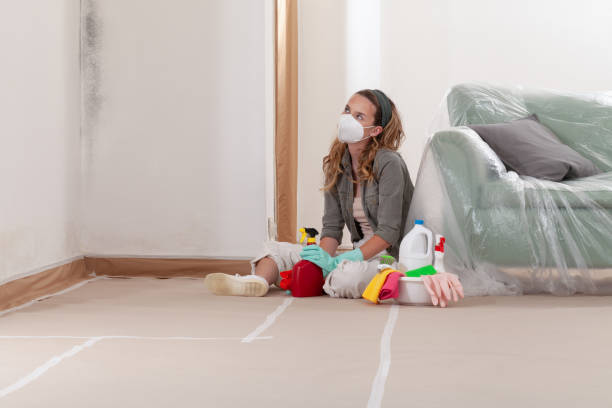 Reliable Mold Remediation contractor in Huntington, VA by Cheap Mold Removal